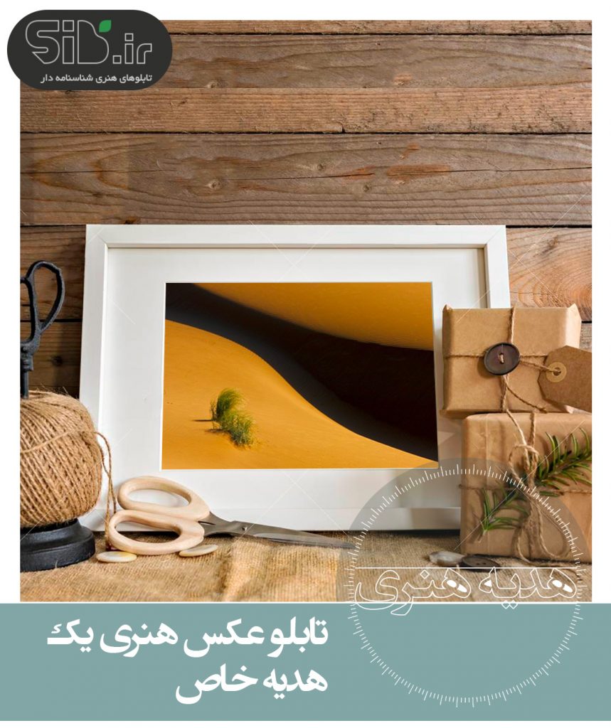 هدیه عکس هنری