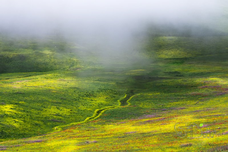 قاب عکس مدرن بدون عنوان منظره   طبیعت / روستایی اثر فرید ثانی
