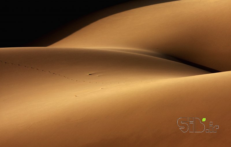 قاب عکس مدرن desert and the human torso منظره   طبیعت / روستایی اثر ابراهیم باختری بناب