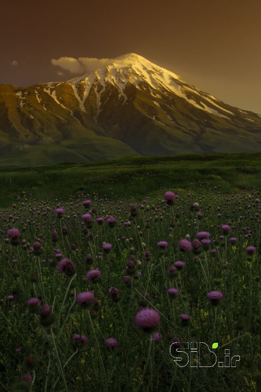 قاب عکس مدرن بهار دماوند  منظره   طبیعت / روستایی اثر علی  اصغری معلم کلایی