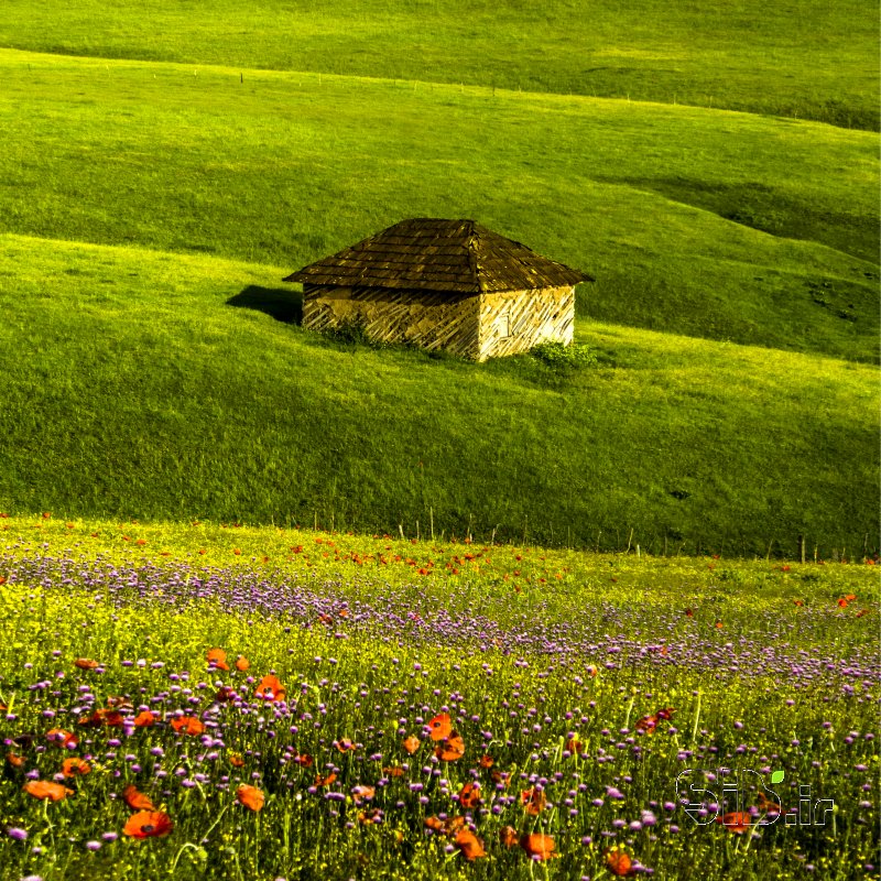 قاب عکس مدرن بدون عنوان منظره   طبیعت / روستایی اثر فرید ثانی
