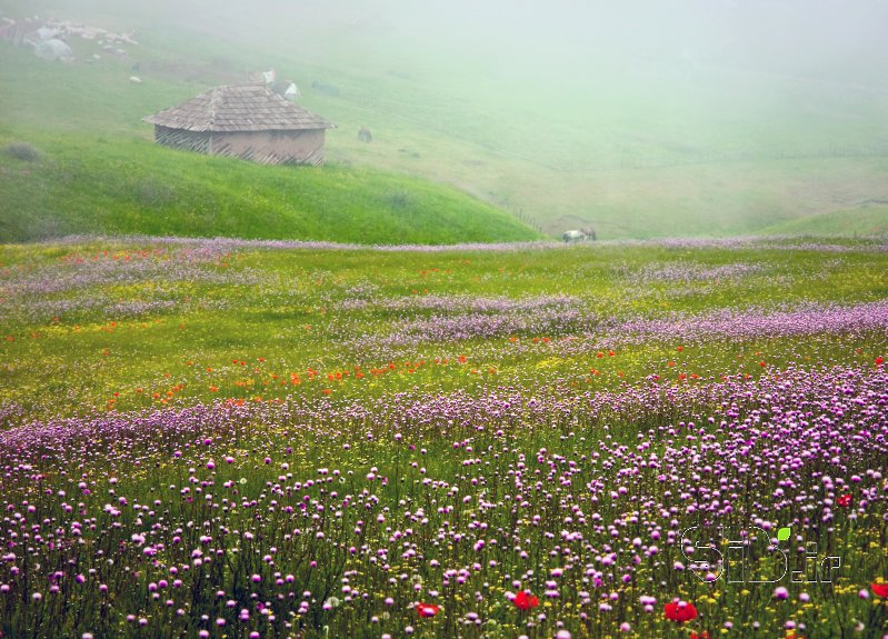 قاب عکس مدرن بدون عنوان منظره   طبیعت / روستایی اثر فرید ثانی