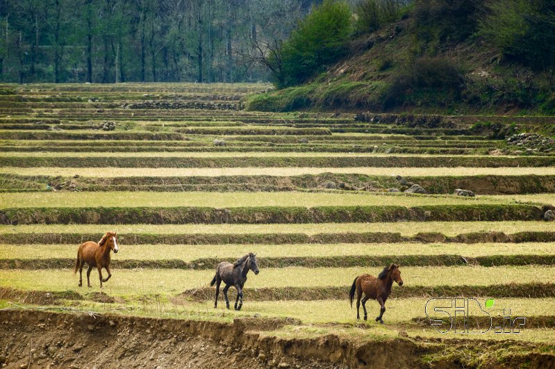 قاب عکس مدرن بدون عنوان منظره   طبیعت / روستایی اثر نعما روشن