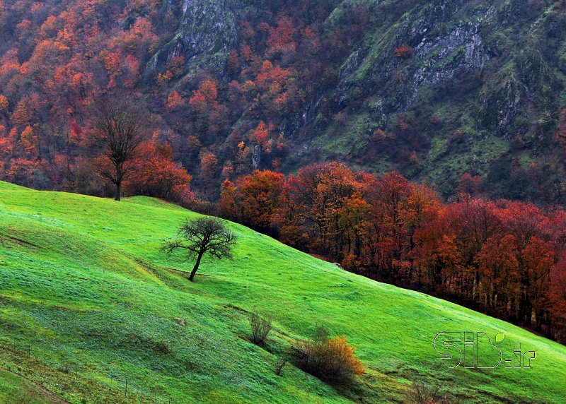 قاب عکس مدرن زندگی  بخش منظره   طبیعت / روستایی اثر جیران باقری