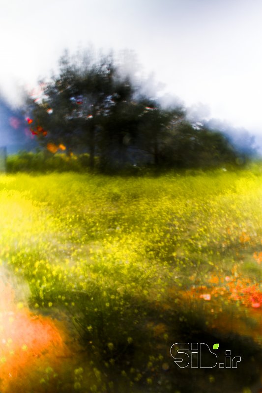 قاب عکس مدرن بدون عنوان آبستره اثر مسعود مختاری