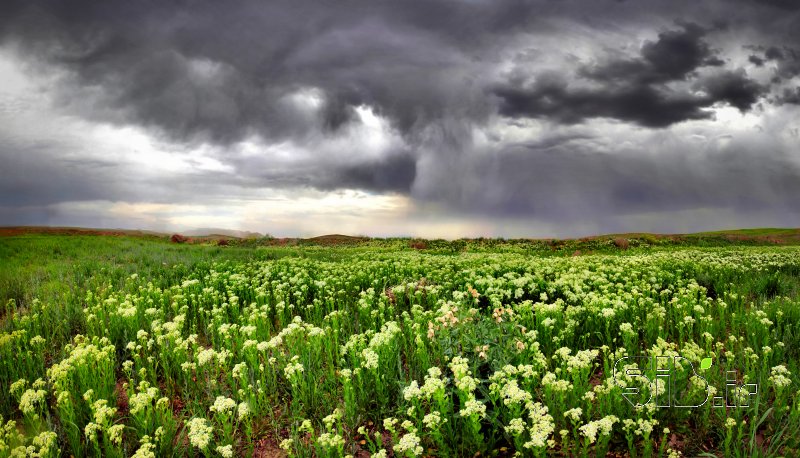 قاب عکس مدرن روزهای نخست منظره   طبیعت / روستایی اثر هادی دهقان پور