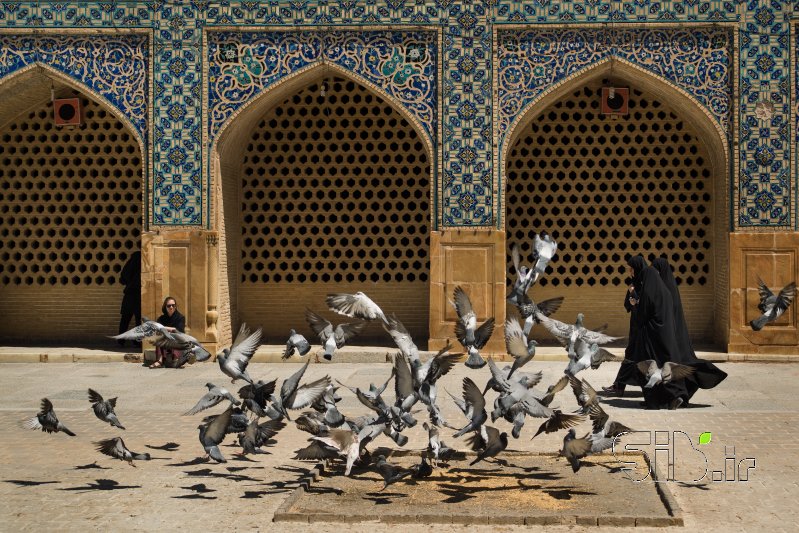 قاب عکس مدرن اصفهان مستند انسانی  اثر سعید عرب زاده