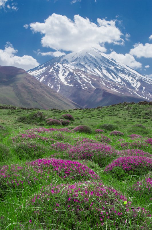 قاب عکس مدرن مسیر بهشت  منظره   طبیعت / روستایی اثر امیرحسین ثباتی