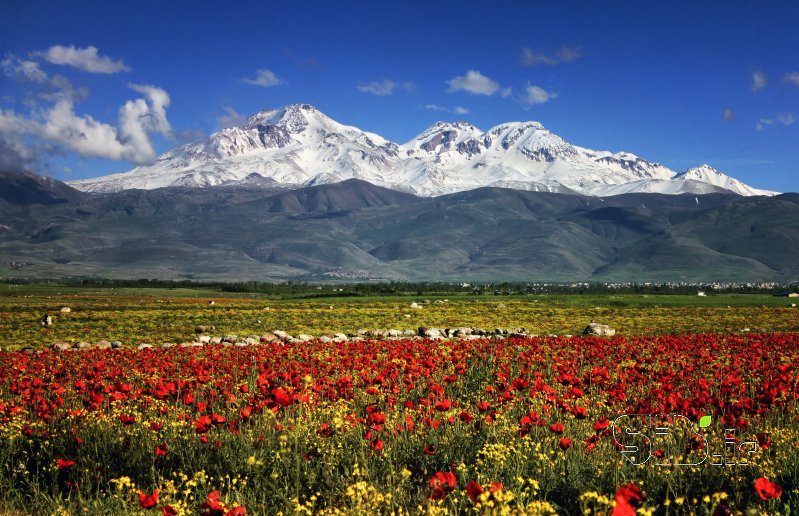 قاب عکس مدرن سلطان ساوالان منظره   طبیعت / روستایی اثر اصغر محمدی نصرآبادی