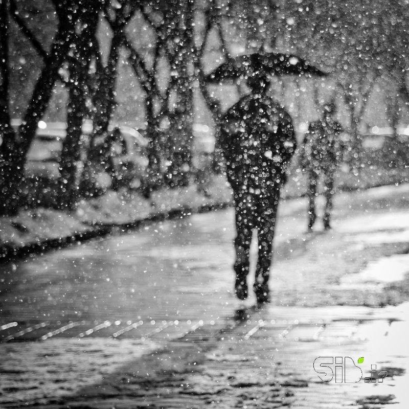 قاب عکس مدرن روز برفی معنا گرا اثر کیارش کرمی