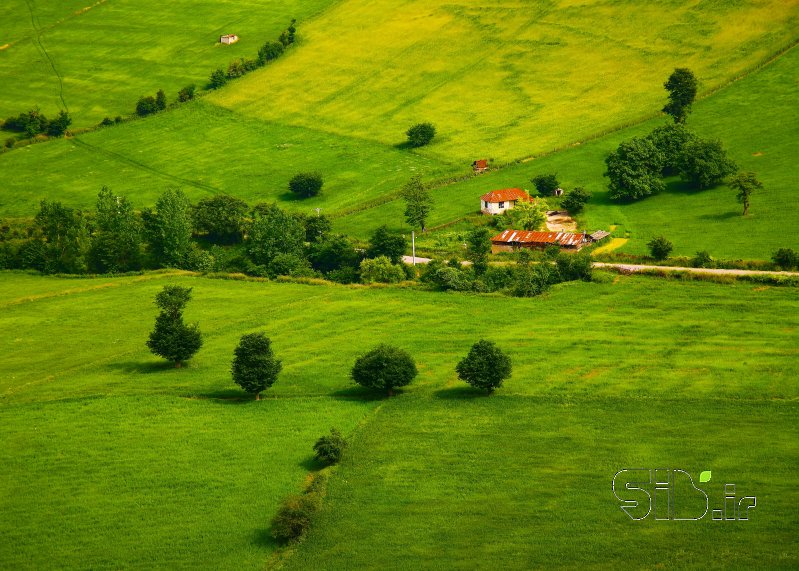 قاب عکس مدرن مزرعه منظره   طبیعت / روستایی اثر حسین خادمی