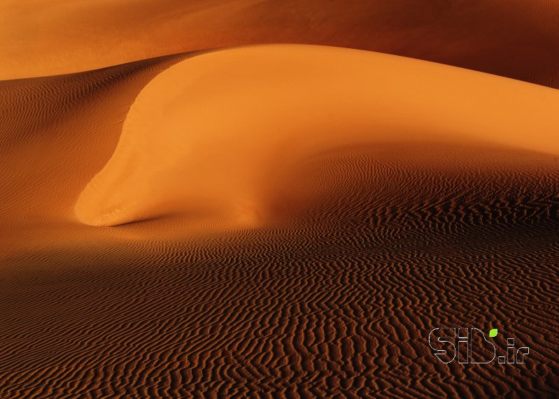 قاب عکس مدرن Desert Dolphin آبستره اثر Ali Dormiani علی دُرمیانی