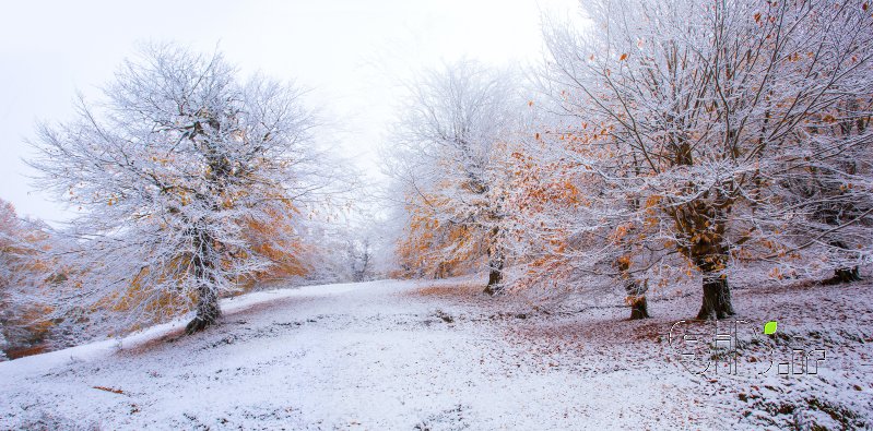قاب عکس مدرن Freezing autumn منظره   طبیعت / روستایی اثر علیرضا رستگار