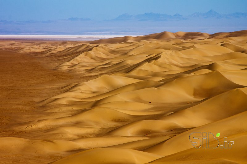قاب عکس مدرن Desert Lines منظره   طبیعت / روستایی اثر سعید عرب زاده