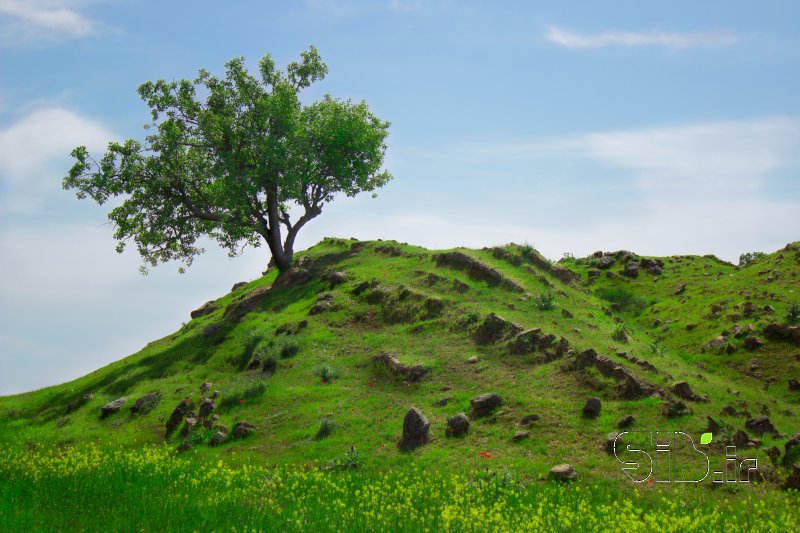 قاب عکس مدرن  منظره   طبیعت / روستایی اثر بهنام ورشوساز