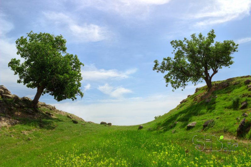 قاب عکس مدرن  منظره   طبیعت / روستایی اثر بهنام ورشوساز