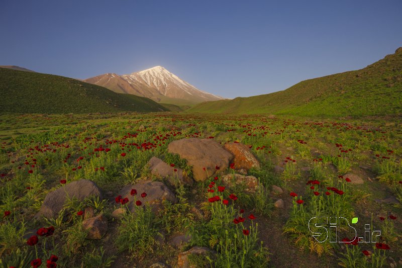 قاب عکس مدرن  منظره   طبیعت / روستایی اثر امیرحسین ثباتی