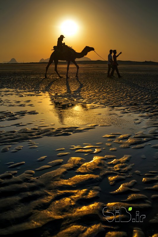 قاب عکس مدرن Passenger at sunset منظره   طبیعت / روستایی اثر سعید عرب زاده