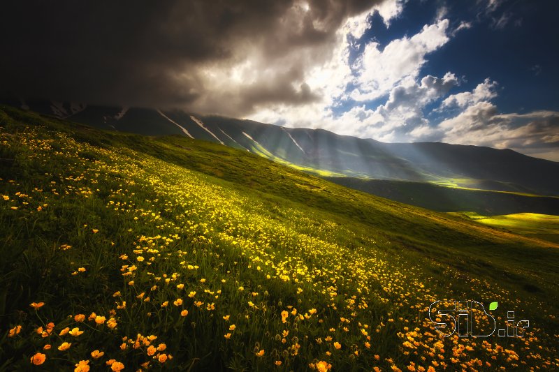قاب عکس مدرن  منظره   طبیعت / روستایی اثر مهران فانی