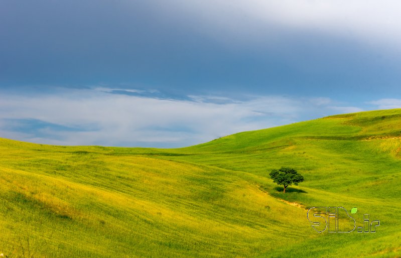قاب عکس مدرن تنها منظره   طبیعت / روستایی اثر مصطفی رضایی