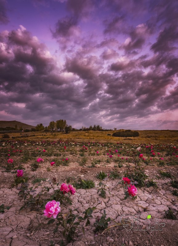 قاب عکس مدرن از خاک به گل  منظره   طبیعت / روستایی اثر سعید  یونسی 