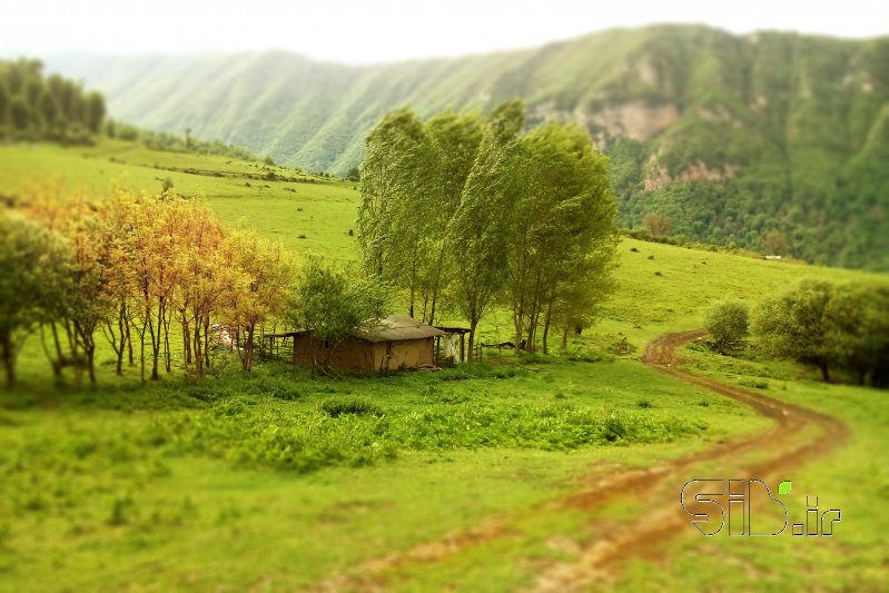 قاب عکس مدرن خانه سبز منظره   طبیعت / روستایی اثر محمدرضا کیوانفر