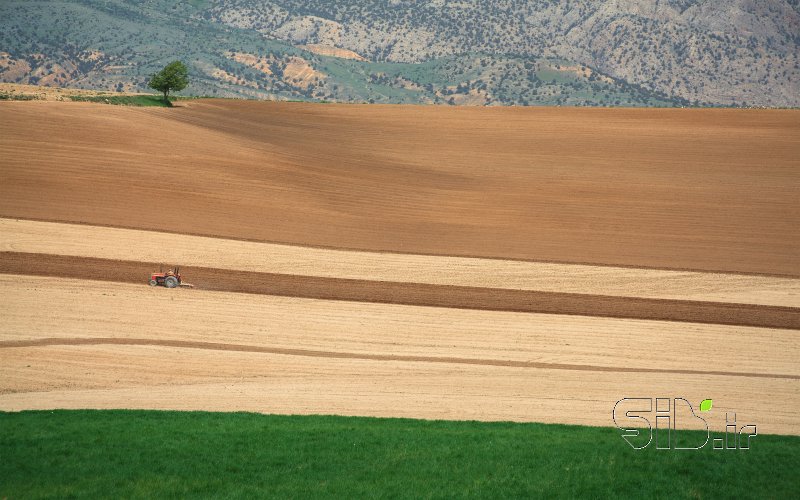 قاب عکس مدرن 10 منظره   طبیعت / روستایی اثر مرتضی خرمی