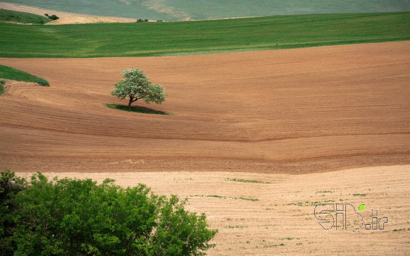 قاب عکس مدرن 11 منظره   طبیعت / روستایی اثر مرتضی خرمی