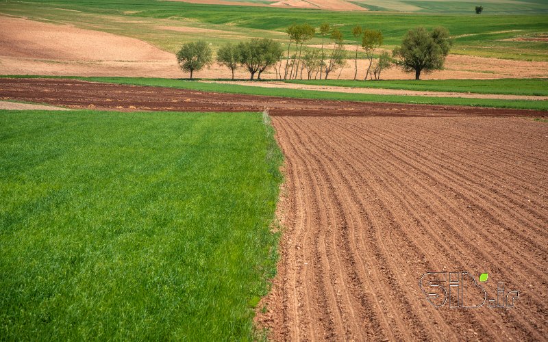 قاب عکس مدرن 1 منظره   طبیعت / روستایی اثر مرتضی خرمی