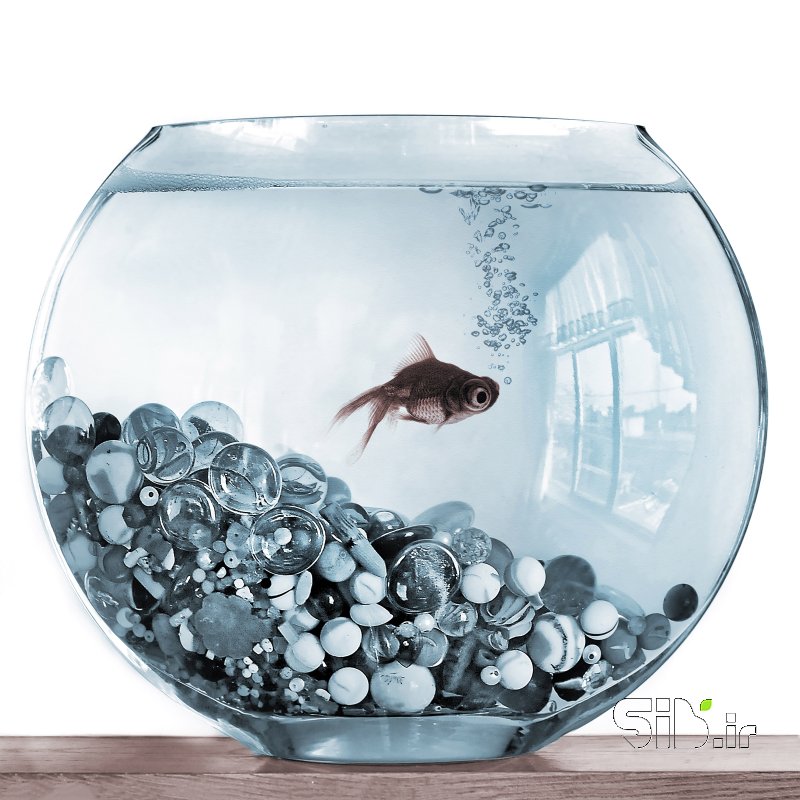 قاب عکس مدرن هوای تازه فرای واقعیت / فوتو مونتاژ اثر محمد رضا معصومی
