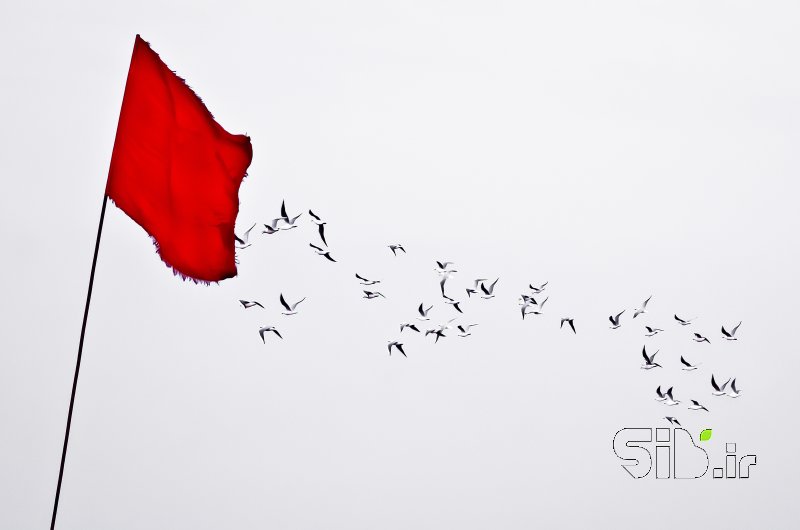 قاب عکس مدرن پروازی عاشقانه  معنا گرا اثر امیر عنایتی