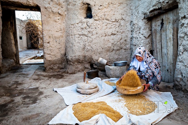 قاب عکس مدرن گندم برای نان منظره   طبیعت / روستایی اثر محمد رضا مومنی
