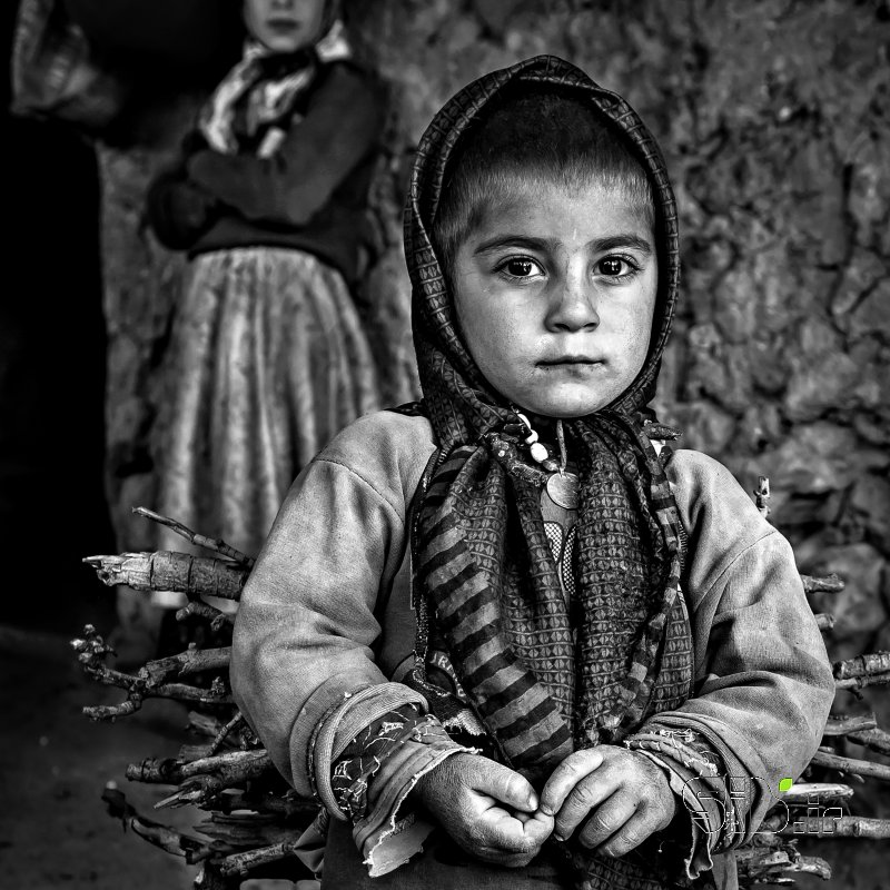 قاب عکس مدرن چوب برای آتش منظره   طبیعت / روستایی اثر محمد رضا مومنی