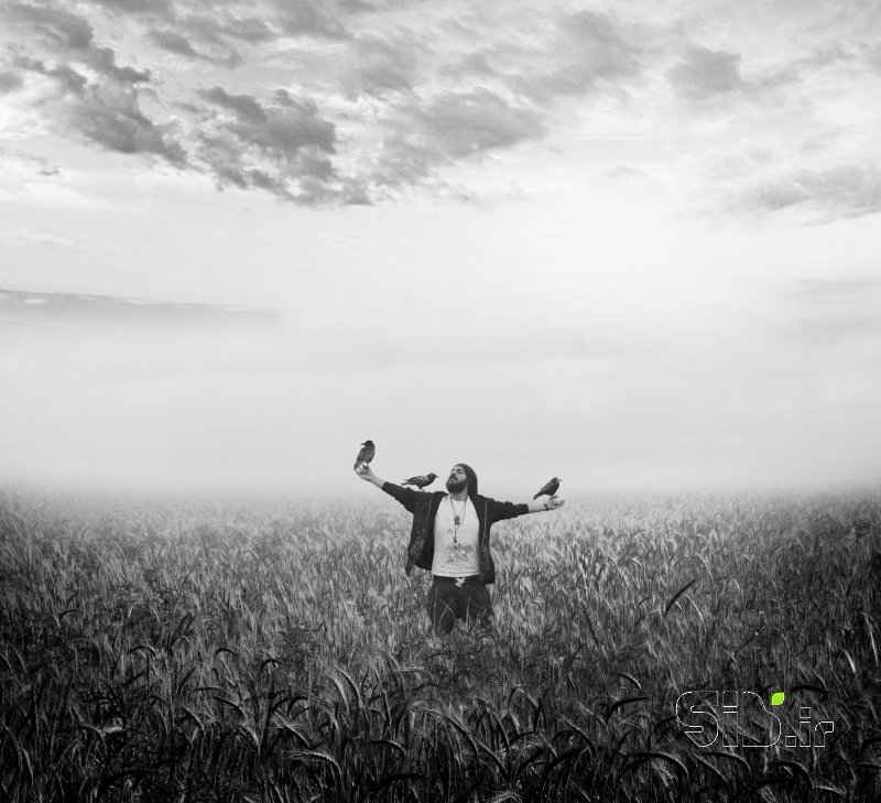 قاب عکس مدرن Scarecrow Craven | مترسک ترسو فرای واقعیت / فوتو مونتاژ اثر حسین مهرزاد