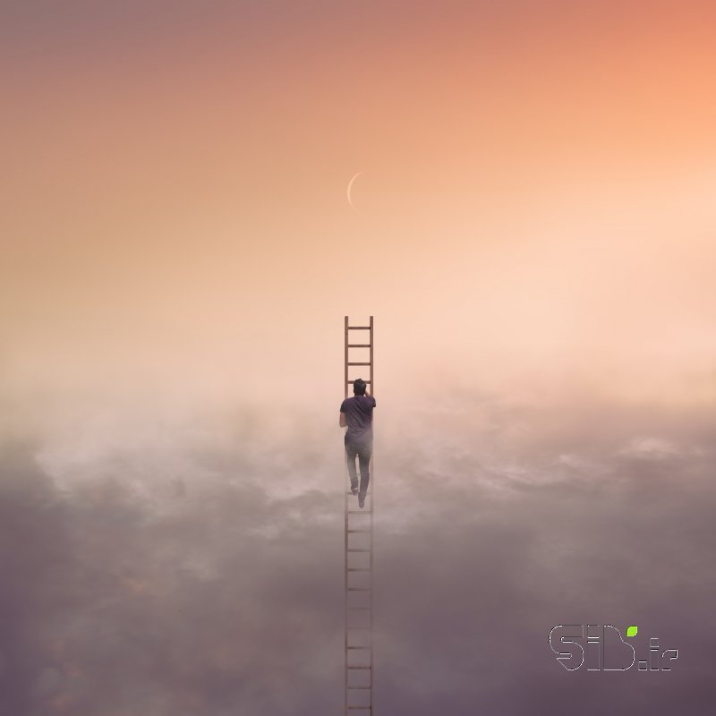 قاب عکس مدرن Climbing فرای واقعیت / فوتو مونتاژ اثر حسین زارع
