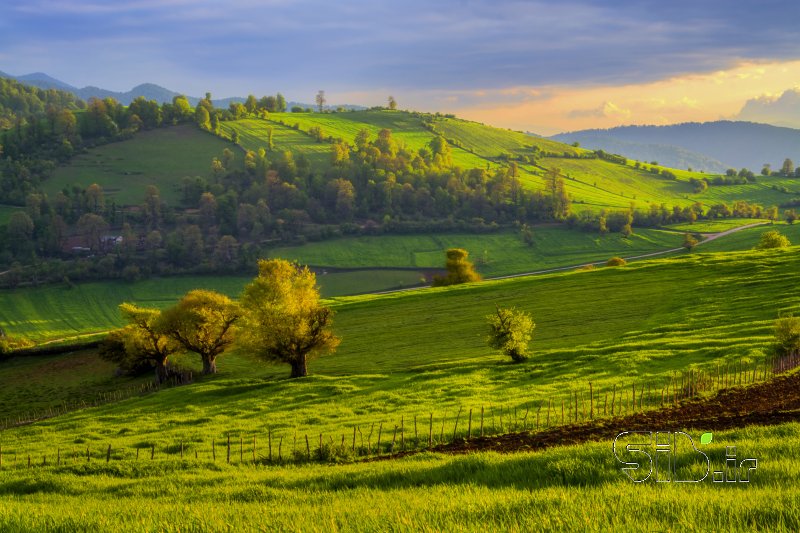قاب عکس مدرن Green Meadow منظره   طبیعت / روستایی اثر هادی محسن تبار فیروزجائی