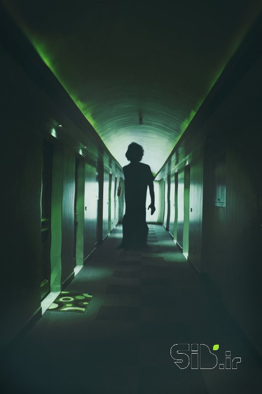قاب عکس مدرن Schizophrenia فرای واقعیت / فوتو مونتاژ اثر علیرضا موحدی