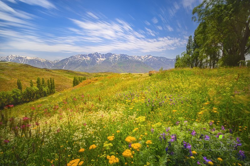 قاب عکس مدرن دشتهای الموت منظره   طبیعت / روستایی اثر احسان نیکفرجام