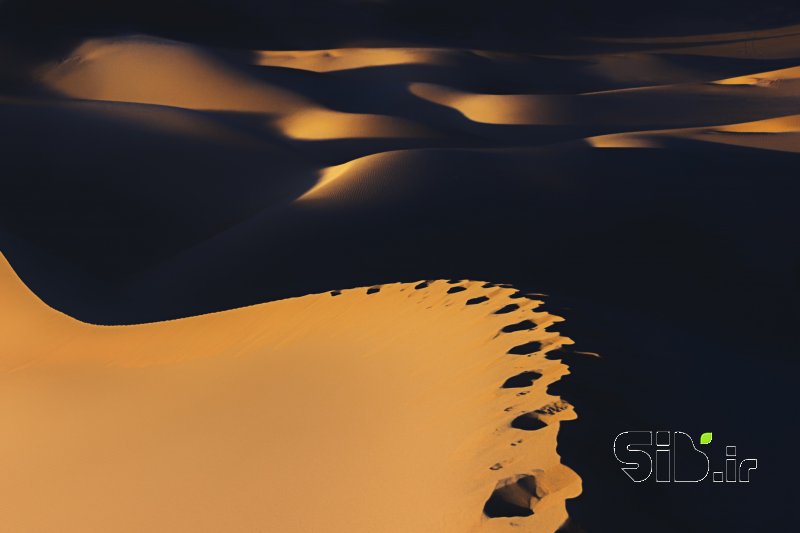 قاب عکس مدرن Golden Sand منظره   طبیعت / روستایی اثر علی اصغر علیمرادی