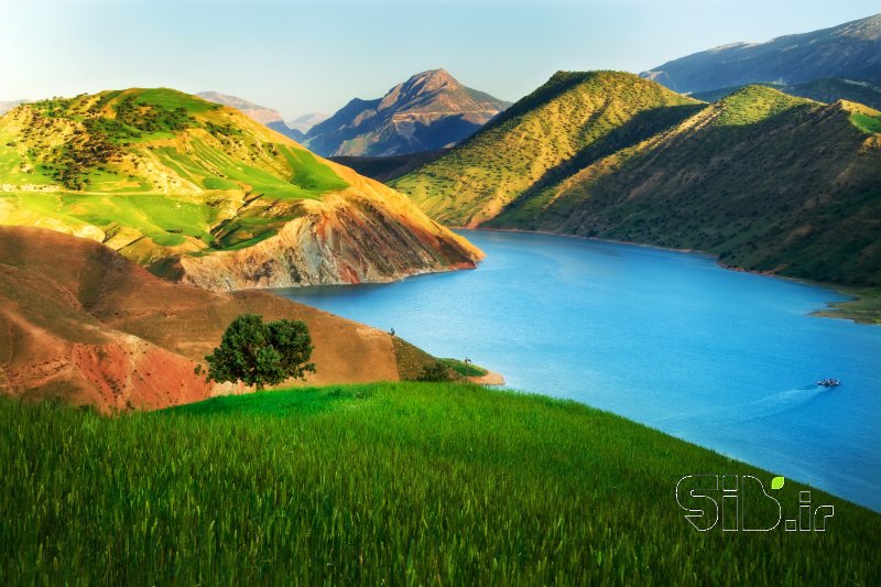 قاب عکس مدرن خوزستان سبز منظره   طبیعت / روستایی اثر مبینا گیل