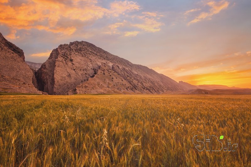 قاب عکس مدرن تنگ بهرام منظره   طبیعت / روستایی اثر سینا رحمتی