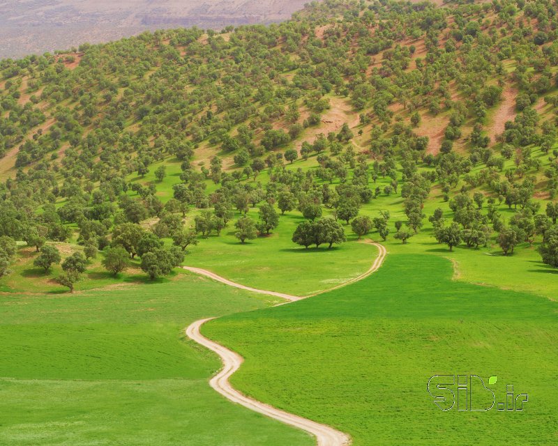 قاب عکس مدرن راه بهشت منظره   طبیعت / روستایی اثر سینا رحمتی