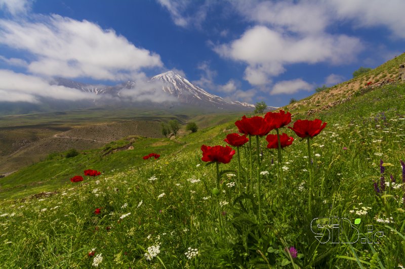 قاب عکس مدرن  منظره   طبیعت / روستایی اثر امیرحسین ثباتی
