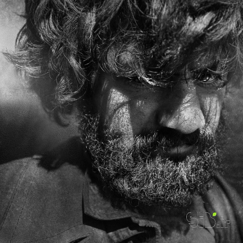قاب عکس مدرن  پرتره اثر مهدی کاظمی بومه