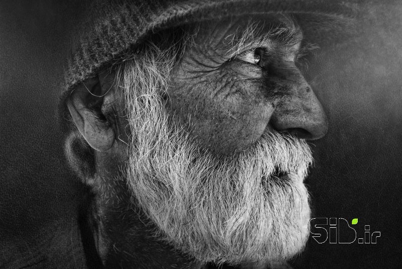 قاب عکس مدرن  پرتره اثر مهدی کاظمی بومه