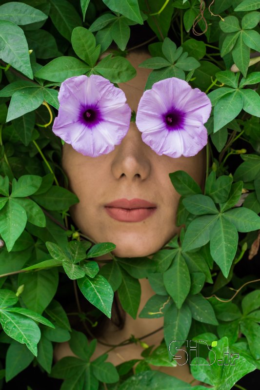 قاب عکس مدرن گل چهره پرتره اثر امین روشن افشار
