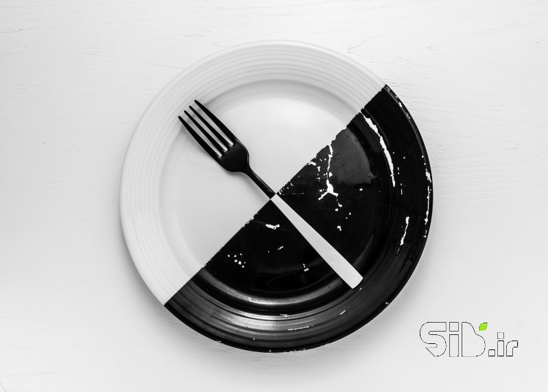 قاب عکس مدرن نژادپرست معنا گرا اثر امین روشن افشار