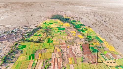 بهار در تابستان