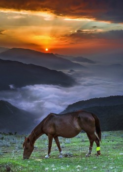 Land of the Clouds