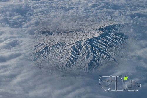 سرد و سفید
